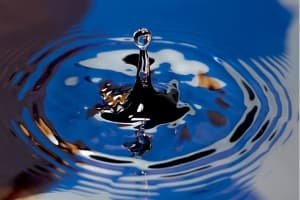 cleanwater